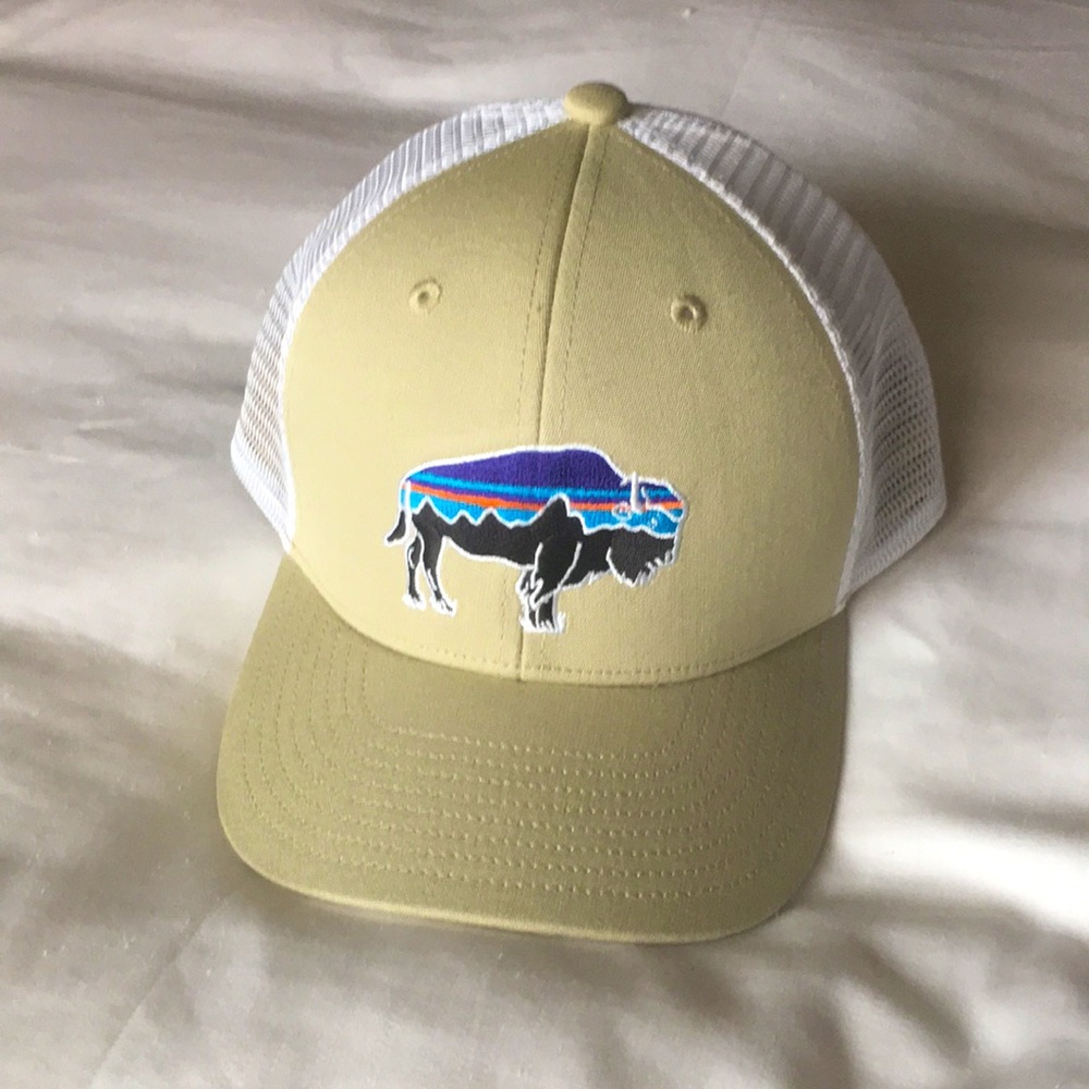 Patagonia truckers hat